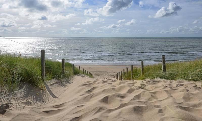 Opmeer Lovely Bungalow 8P Close To Beach And Amsterdam מראה חיצוני תמונה